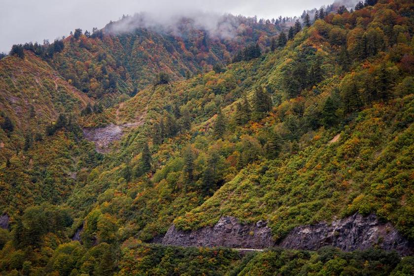 道路 旅途 路途 户外 街道 公路 秋天 秋日 自然 环境 云 云朵 天空 日本 城市 现代生活 山 山峦 山峰