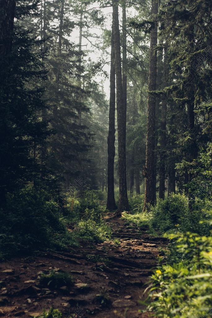 风景 风光 美景 田园 山水 花 玫瑰 美丽 花朵 道路 旅途 路途 户外 街道 公路 美女 丽人 优雅 美丽 漂亮 女孩 女人 女性 冒险 探险 远足 度假 旅游 休闲 挑战 极限运动 旅行 旅游 行程 度假 休闲 度假 假日 树木 丛林 森林 夏日 夏季 热情 秋天 秋日 树 树木 树林 森林