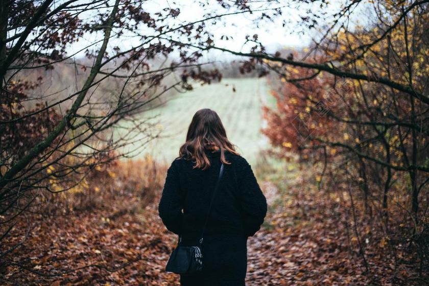 女孩 少女 姑娘 美丽 秋天 秋日