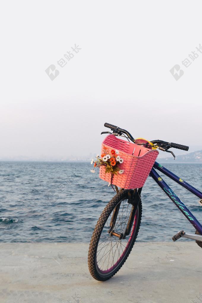 花 玫瑰 美丽 花朵 自行车 骑行 山地车 冒险 旅行 旅游 行程 度假 休闲 度假 假日 天空 海 海水 大海 云 云朵 天空 雨 下雨 惬意