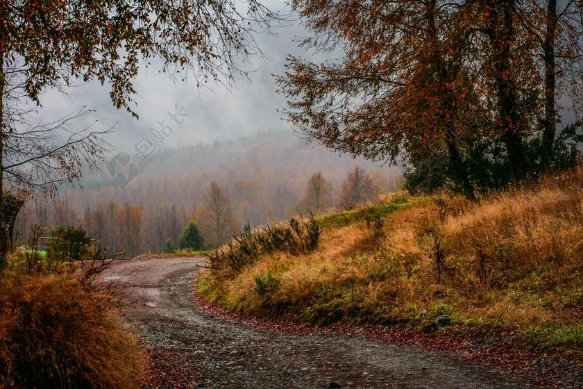 风景 风光 美景 田园 山水 农场 庄园 道路 旅途 路途 户外 街道 公路 丽人 优雅 美丽 漂亮 女孩 女人 女性 树木 丛林 森林 天空 秋天 秋日 自然 环境