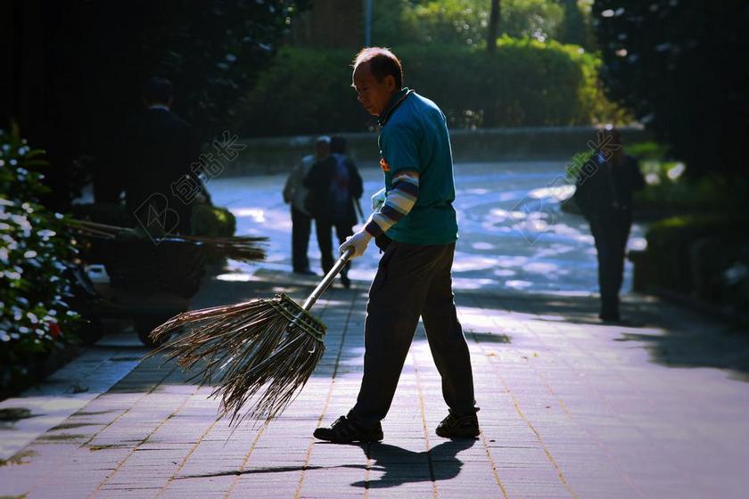 职业 工作 办公室 职场 冒险 探险 远足 度假 旅游 休闲 挑战 极限运动 树木 丛林 森林 人物 人群 风土人情 树 树木 树林 森林