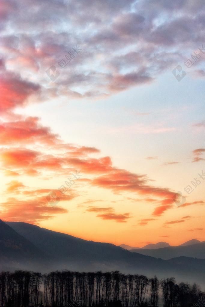 星空 太空 空间 日落 夕阳 太阳 天空 树木 丛林 森林 树 树木 树林 森林