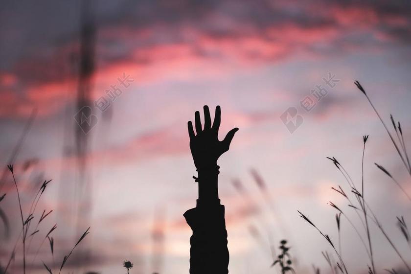 草丛里的手背景图片