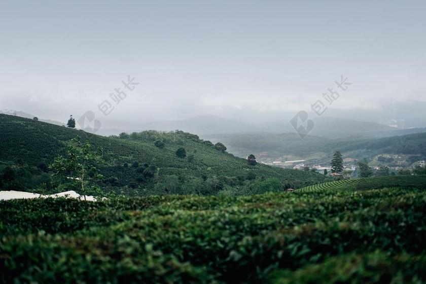 绿色山坡和阴天背景图片