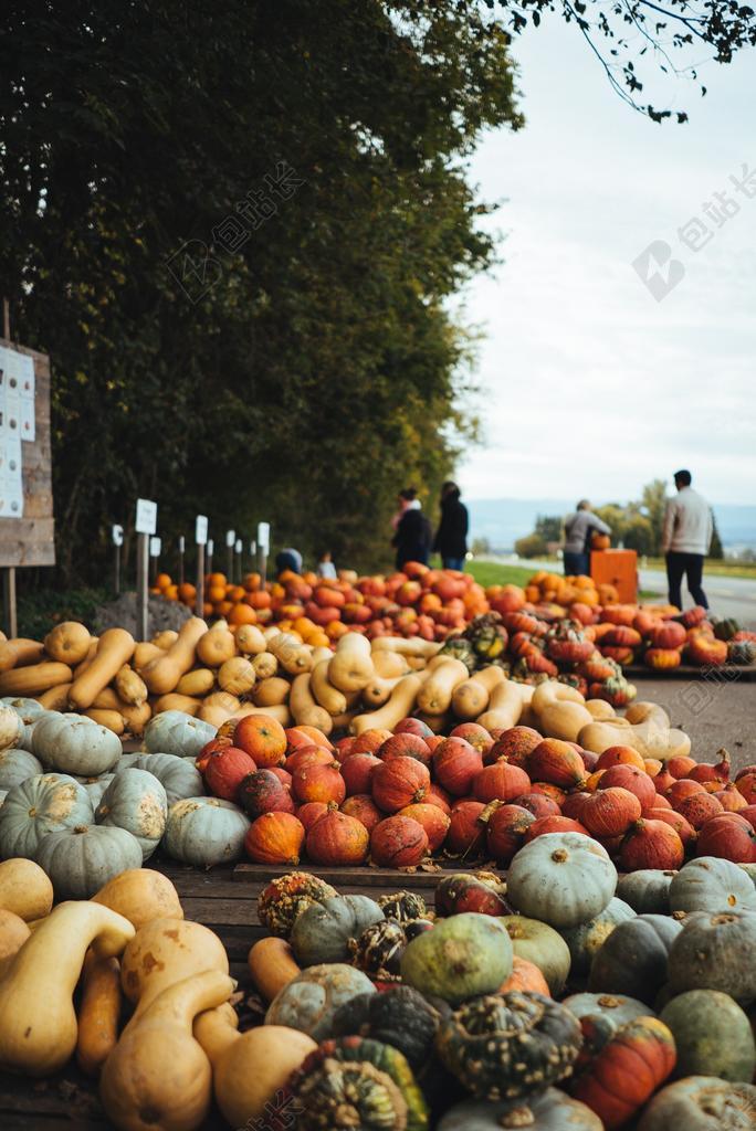 农场 农田 庄园 营销 推广 商务 市场 策划 水果 果实 健康 绿色食品 美食 食品 餐饮 秋天 秋日