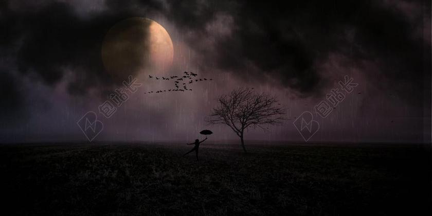 月光 女子 雨 伞 性质 黑暗 天空 夜 云 树 月球
