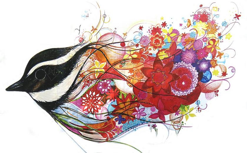 图形 绘画 施工围栏 彩虹 鸟 鲜花 背景 颜色 装饰