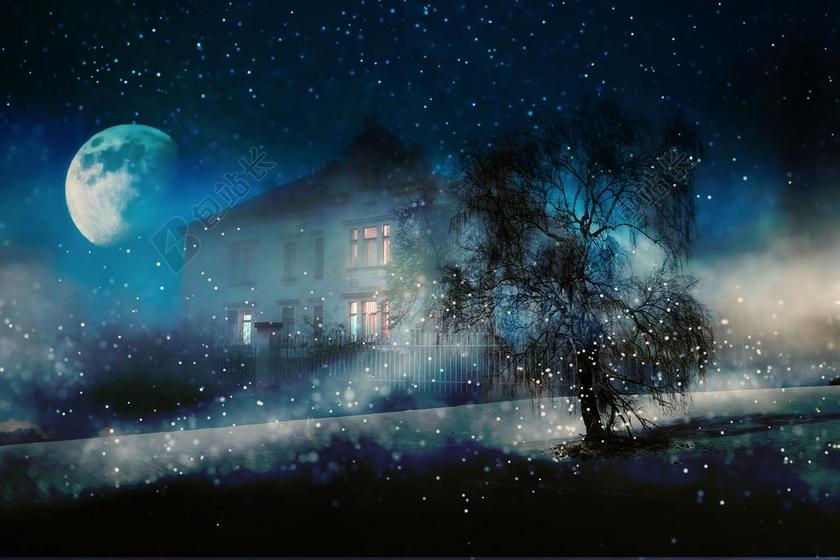 夜 冬天 雪 首页 照明 月光 降雪 光 寒冬 神秘