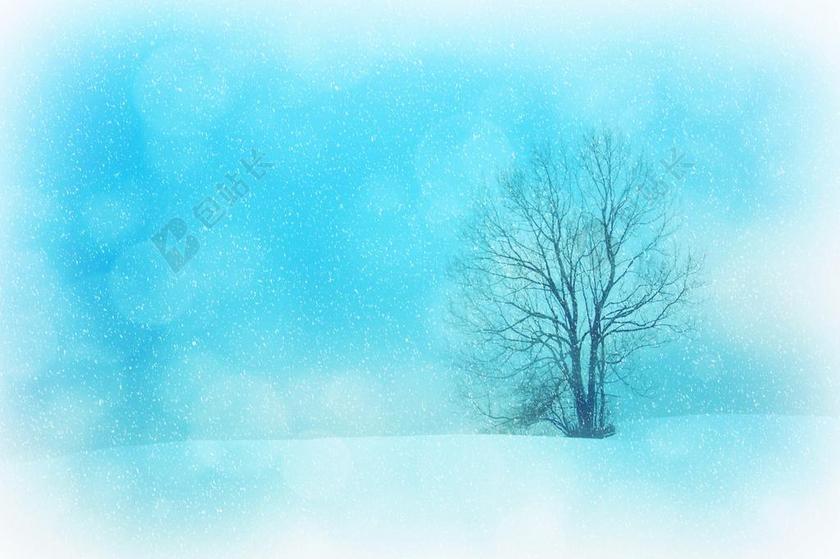 雪地里的枯树背景图片