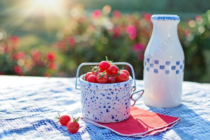 樱桃番茄 蕃茄 成熟 红色 食品 健康 新鲜 蔬菜 绿色