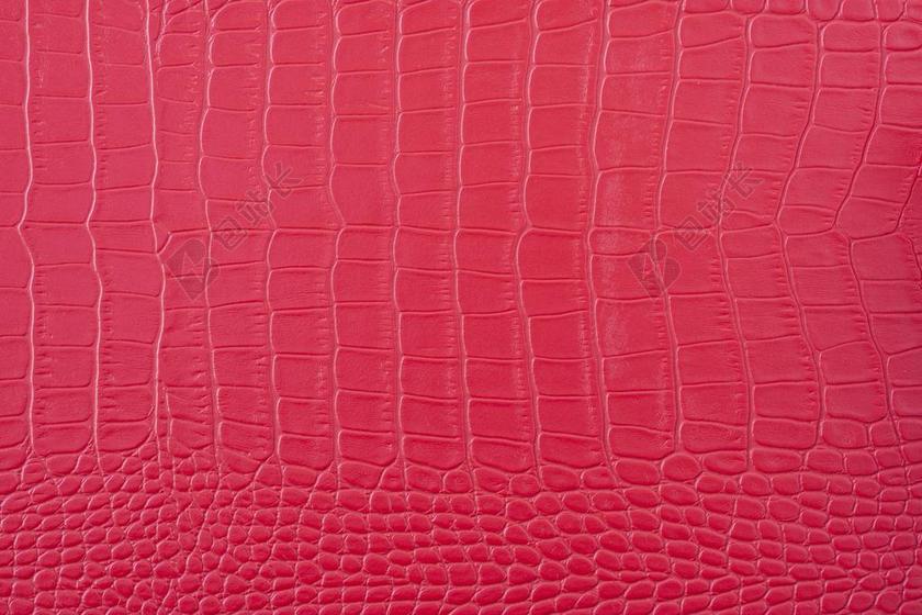 红色 皮革 纹理 模式 包 设计 缝纫 没有人 蛇 背景