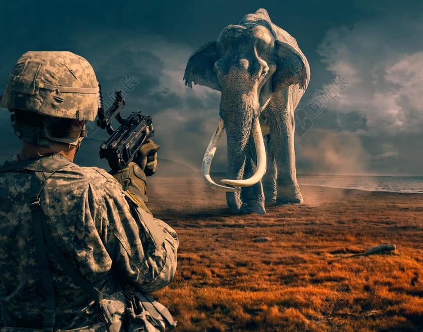 草地上的大象和士兵背景图片