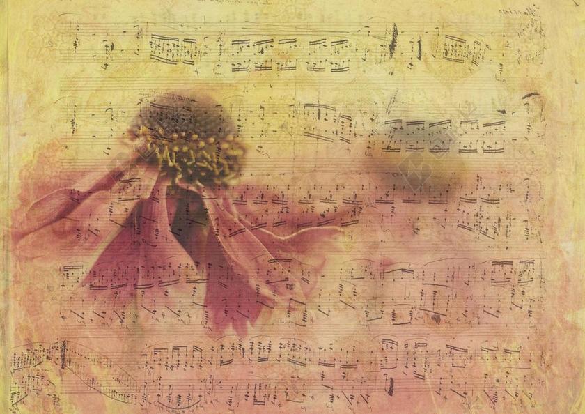 纹理 背景 纸 开花 花 NOTENBLATT 文具 模式