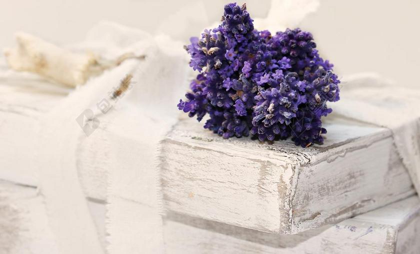 熏衣草 图书 穿 老 时间 读取 字体 浪漫 古董 智慧