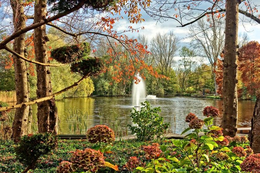 喷泉 池 公园 花园 风格 设计 景观 景区