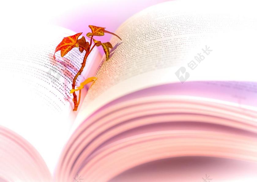 本书 阅读 文献 学习 诗歌