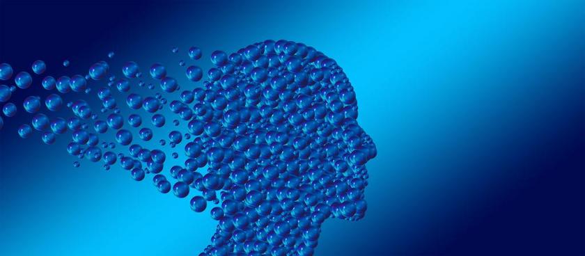 头 头骨 打击 决议 解决 飞走了 飞 知道 组成 空