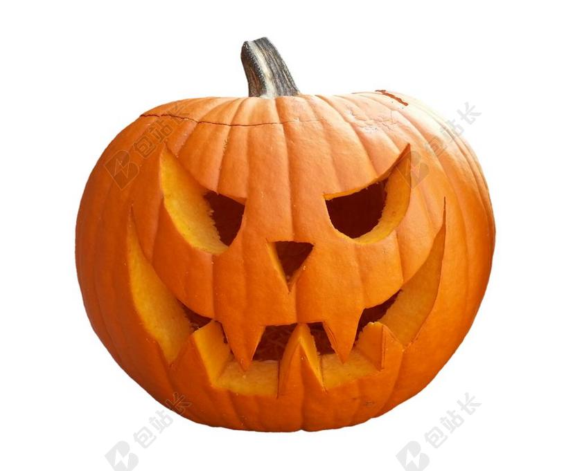 南瓜 水果 橙 秋季 笋瓜 选择 大 巨大的 食品 蔬菜