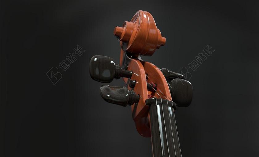 大提琴 字符串 弦乐器 详细 颈部 蜗牛 木 仪器 古典音乐