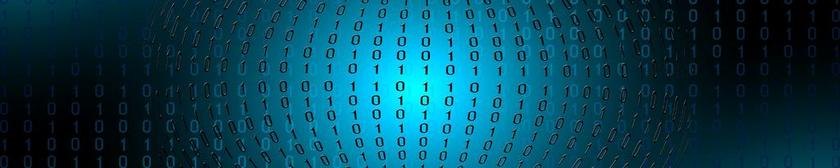 二进制 二进制代码 二进制文件系统 HTTP WWW 崩溃