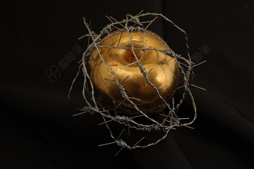 苹果 金 天堂 主意 妇女 禁止 前夕 概念 禁果 宗教