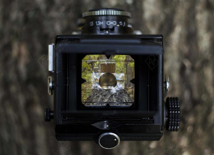 相机 镜头 取景器 镜片 磨砂玻璃 业余的 树 树皮 玻璃