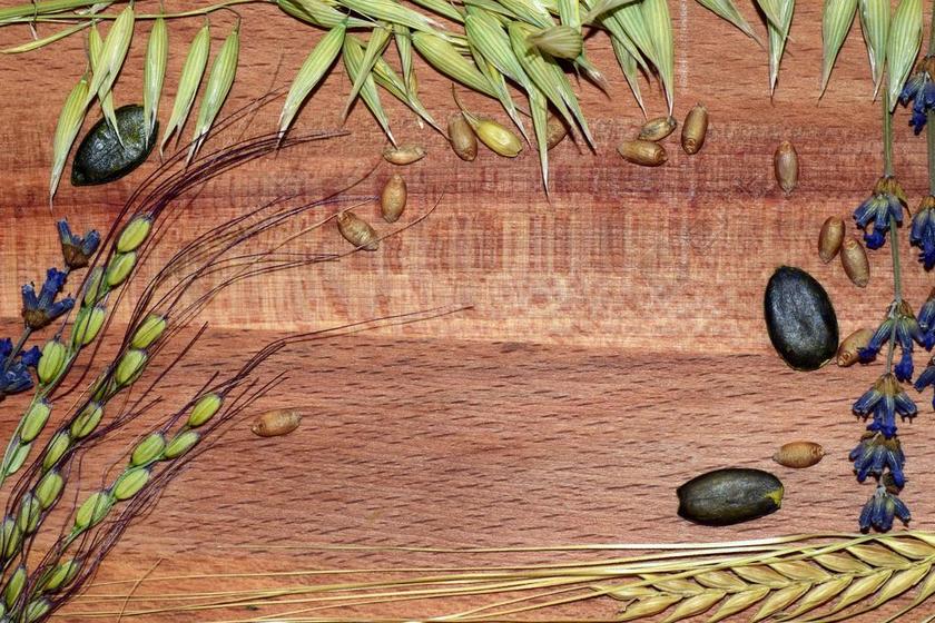 木板上的谷物背景图片