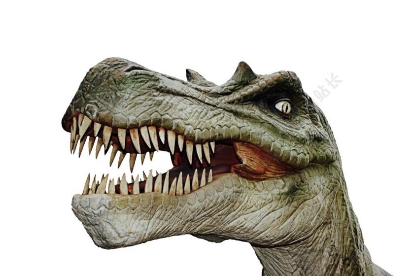 凶猛和灰色恐龙背景图片
