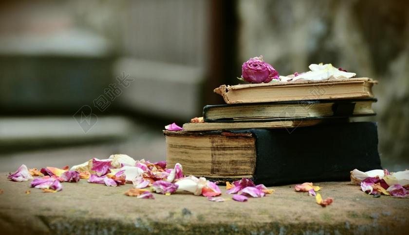 图书 旧书籍 ANTIQUARIAT 使用 二手书 瀛洲 文学