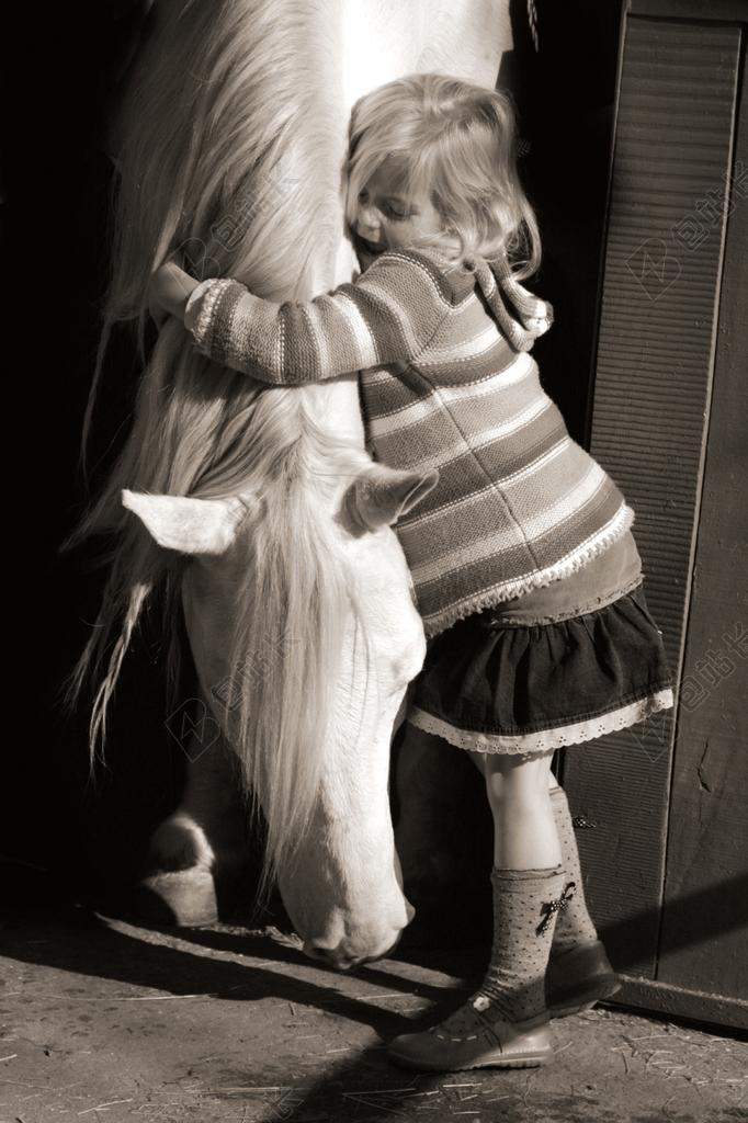 拥抱 女孩 爱 马 灰色 孩子 马术