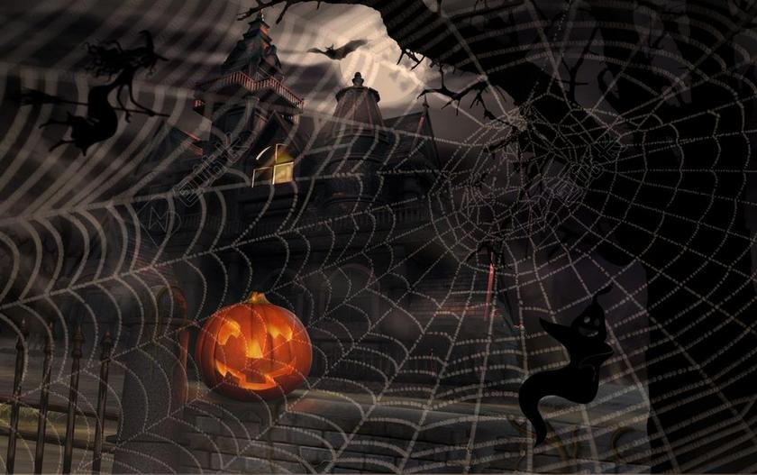 万圣节 高兴 蜘蛛网 南瓜