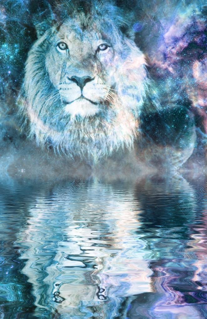 狮子 空间 幻想 镜像 水