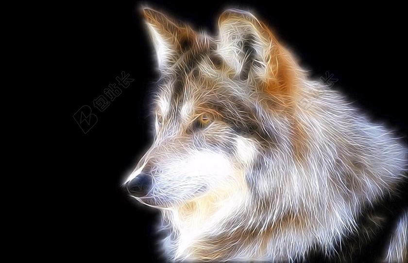 狼 捕食 图像编辑