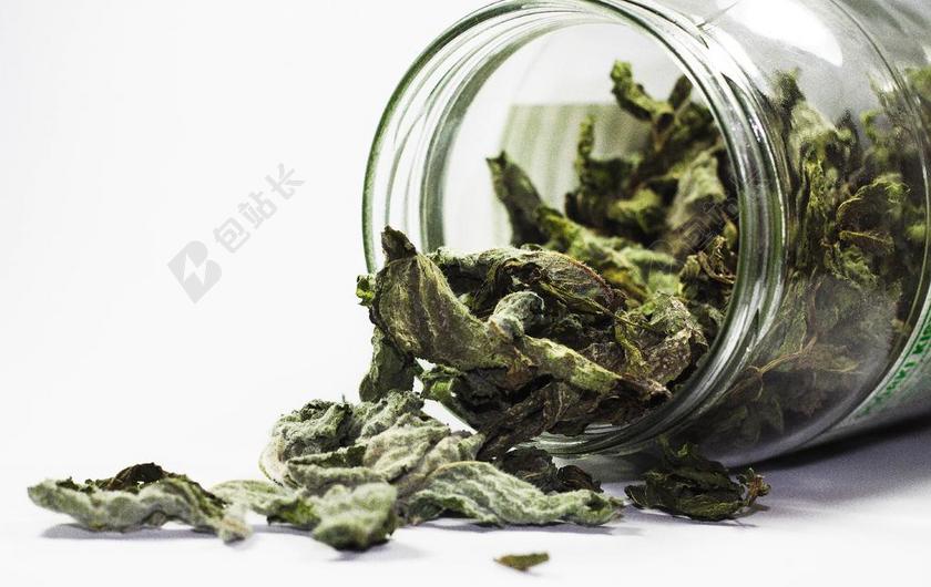香料 薄荷 健康 厨房 草药 气味 芳香烃 烹饪 绿色