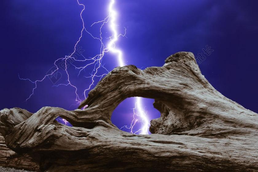 日志 部落 树 木 MORSCH 朽木 漂流和货物 懒惰 像