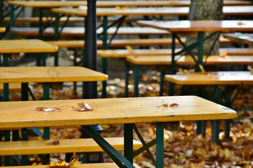 秋季 啤酒花园 心情 秋天的心情 秋 椅子 餐桌 叶子 颜色