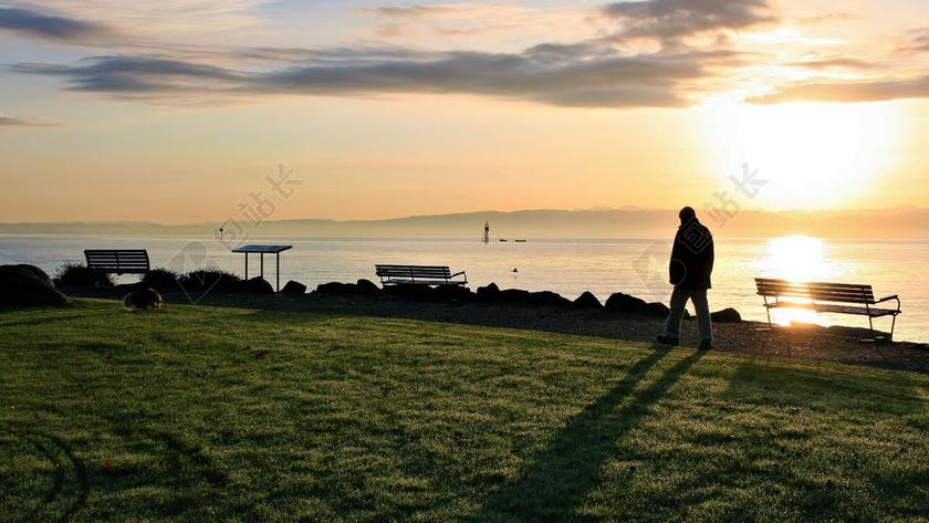 日出 秋 间隔 湖 黎明 早晨的太阳 长椅 太阳 弗罗斯特