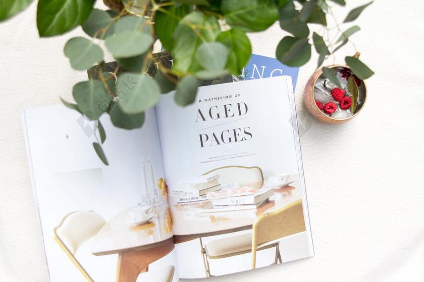 绿色 植物 白 表 工作 办公桌 杂志 红色 水果