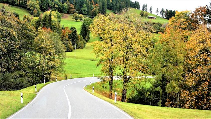 公路 方式 秋金 景观 森林的边缘