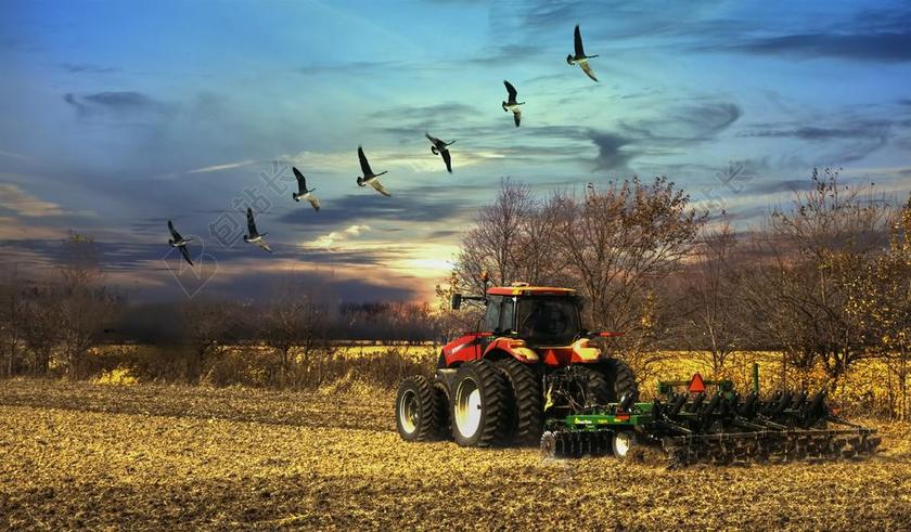 风景 日落 拖拉机 鸟 树 艺术 艺术的印刷 数字艺术 多彩