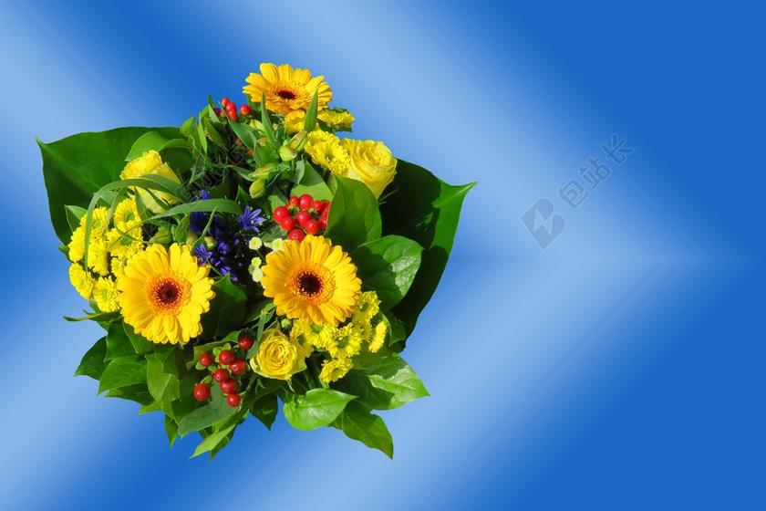 情感 鲜花 花束 贺卡 花卉问候语 生日 开花 爱情 谢谢