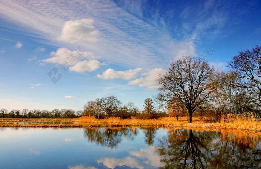 池塘 性质 水 镜像 景观 蓝色 夏季 银行 小区 芦苇
