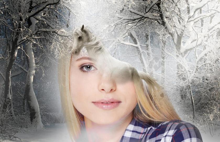 梦想 幻想 想象力 女孩 马 冒险 魔术