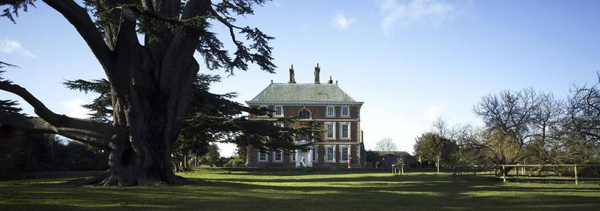 树木 大树 树干 房屋 欧美古屋 建筑物 天空 草坪 风景照