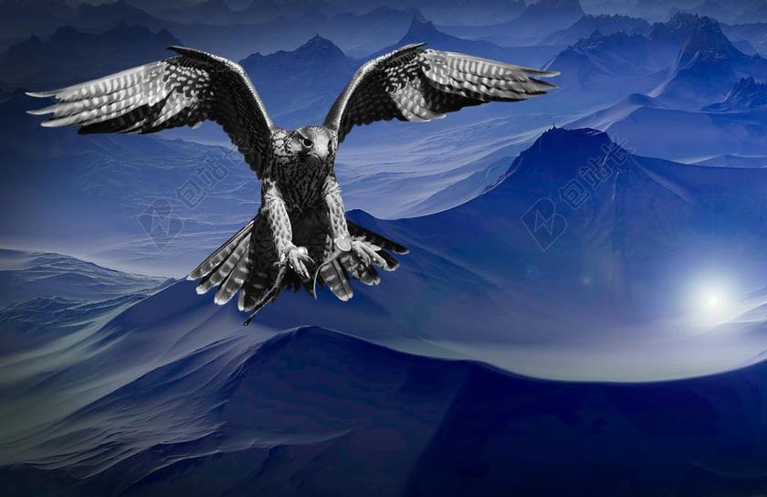 猎鹰 山 黑暗 夜 天空 捕食者 危险 飞 翅膀 鸟