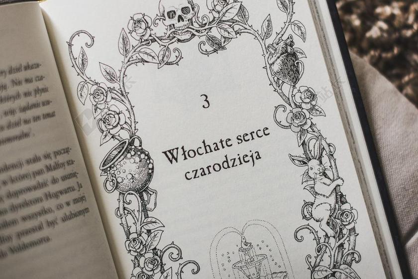 书 爱好 开放 教育 放宽 阅读 知识 基督的激情 纸张