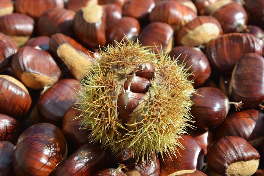 板栗 错误打开 栗子 褐色 吃 电源 性质 水果 错误