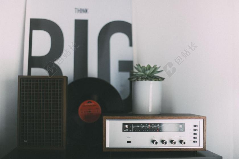 表 电台 植物 叶子 绿色 乙烯 相册 光盘 音乐 声音