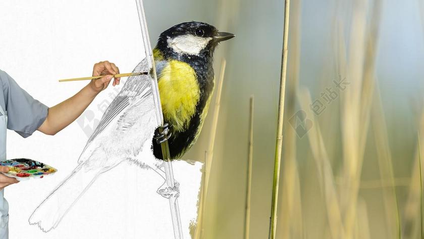 画家 漆 画笔 油漆刷 艺术家 漆托盘 鸟 草 黄色